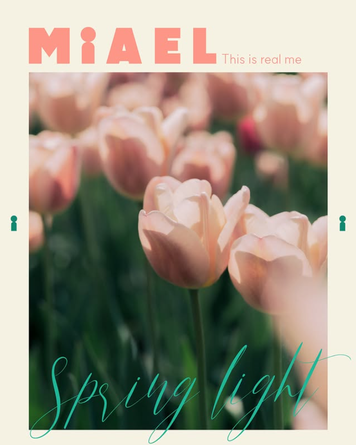 MIAEL 인스타그램 게시물 8